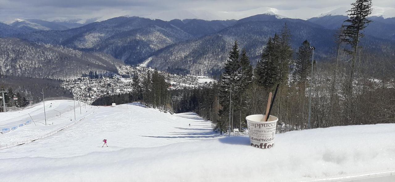 Kalinderu Skier'S Apartament Bellevue Buşteni Eksteriør billede